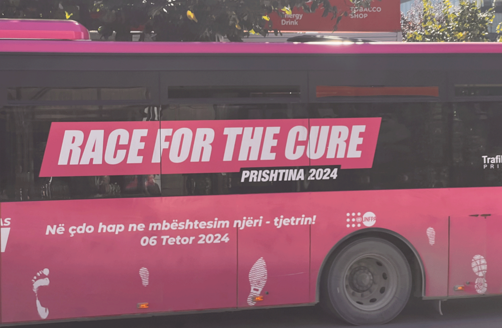 Pink Bus